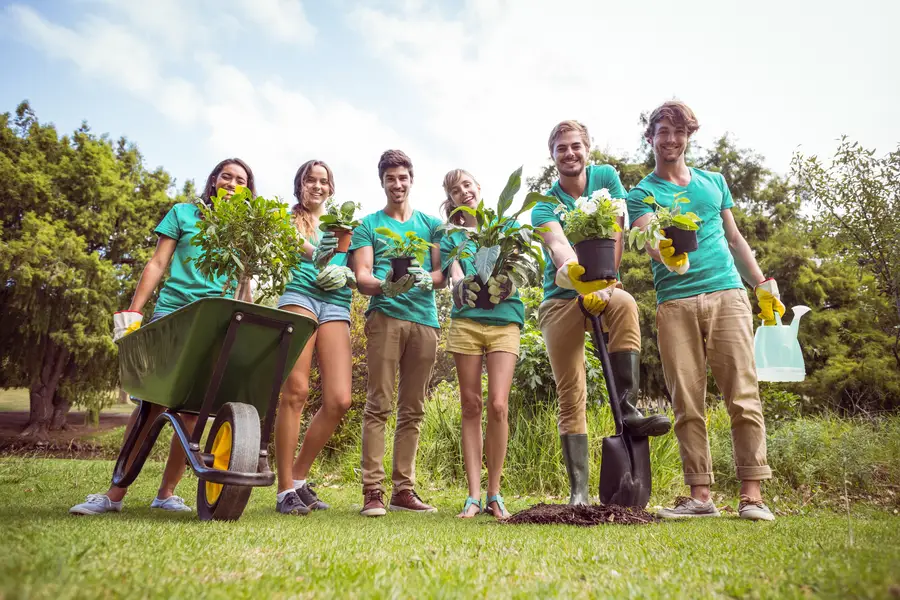 Tree Planting Services And Their Impact On Soil Health Yorktown VA