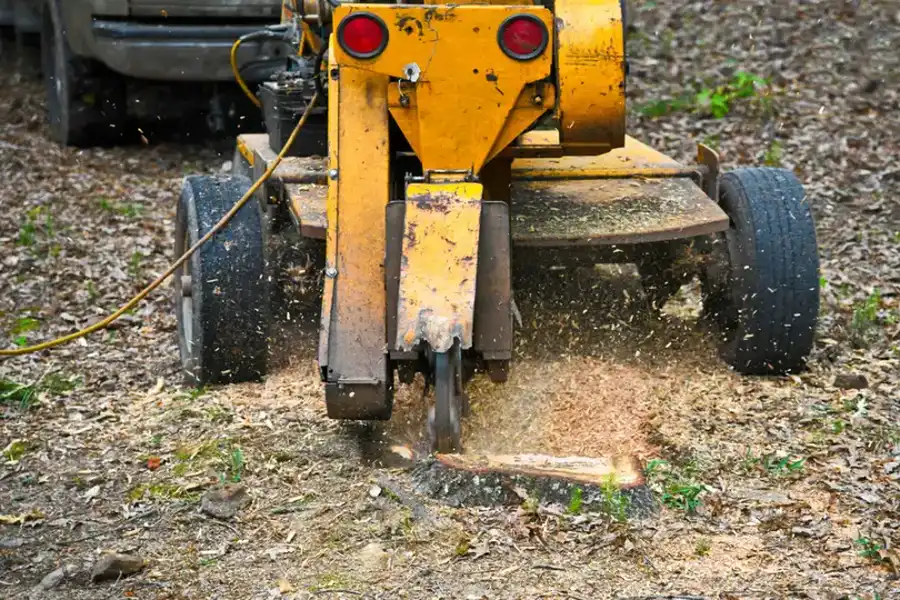 What To Expect During A Stump Grinding Process in Yorktown VA